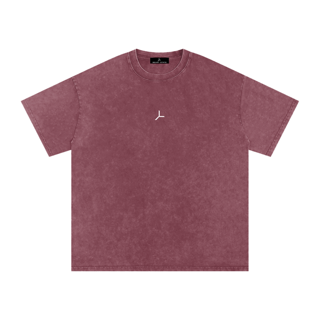 OVERSIZED SNOW WASH TEE