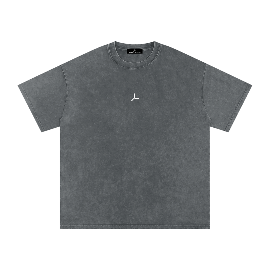 OVERSIZED SNOW WASH TEE