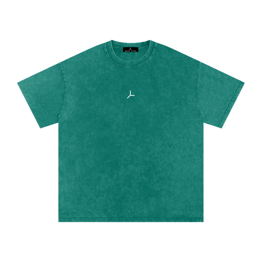 OVERSIZED SNOW WASH TEE