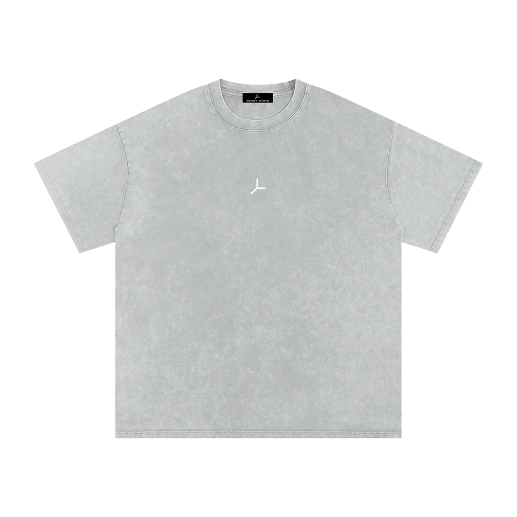 OVERSIZED SNOW WASH TEE
