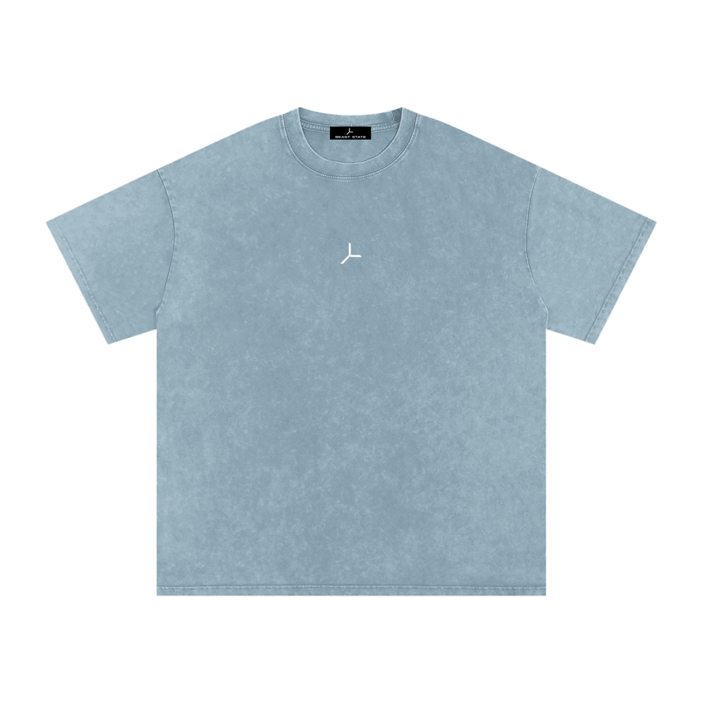 OVERSIZED SNOW WASH TEE